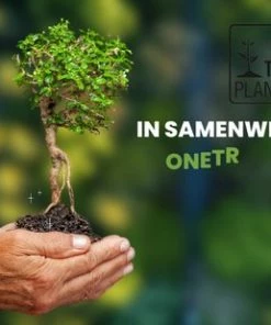 Uitgang ⭐ ProCatch® 49 | Hengelset - Vishengel Set - Werphengel - Vissen - 1 Hengel + Accessoires - 2,1 Meter Uitschuifbaar + GRATIS Haken ???? -Hendi Shop 550x309 21