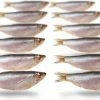 Kopen ✔️ Prebaits Doodaas Sprot - Vacuüm Verpakt | 8-13CM | 10-18ST | Dood Aas | Dood Aas Vissen | Aas Vissen | Deadbait | Roofvissen | Snoek Aas | Snoek Vissen | Snoekbaars ???? -Hendi Shop 550x351 2