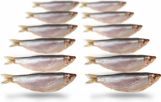 Kopen ✔️ Prebaits Doodaas Sprot - Vacuüm Verpakt | 8-13CM | 10-18ST | Dood Aas | Dood Aas Vissen | Aas Vissen | Deadbait | Roofvissen | Snoek Aas | Snoek Vissen | Snoekbaars ???? 3 Kopen ✔️ Prebaits Doodaas Sprot - Vacuüm Verpakt | 8-13CM | 10-18ST | Dood Aas | Dood Aas Vissen | Aas Vissen | Deadbait | Roofvissen | Snoek Aas | Snoek Vissen | Snoekbaars ????