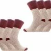 Begroting ???? Classinn® Trango Valley Dames Thermosokken Zoder Elastiek - Eenmaat 36 - 41 - Bordeaux - 6 Paar ???? 2 Begroting ???? Classinn® Trango Valley Dames Thermosokken Zoder Elastiek - Eenmaat 36 - 41 - Bordeaux - 6 Paar ???? -Hendi Shop 550x411 3