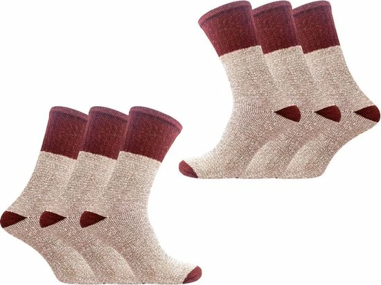 Begroting ???? Classinn® Trango Valley Dames Thermosokken Zoder Elastiek - Eenmaat 36 - 41 - Bordeaux - 6 Paar ???? 3 Begroting ???? Classinn® Trango Valley Dames Thermosokken Zoder Elastiek - Eenmaat 36 - 41 - Bordeaux - 6 Paar ????