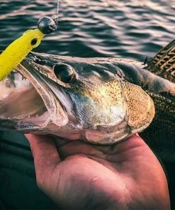 Groothandel ???? Spro Iris Popeye To Go - 8 Cm - Uv Minnow ???? 12 Groothandel ???? Spro Iris Popeye To Go - 8 Cm - Uv Minnow ???? -Hendi Shop 550x412 1