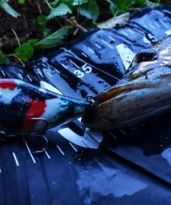 Coupon ???? Alphatackle.eu Alpha Tackle Lost Koi | Kunstaas | Jerkbait | Crankbait | Snoek | Vissen | Hengelsport ✔️ -Hendi Shop 550x412 12