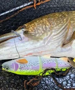 Coupon ???? Savage Gear 4D Line Thru Trout MS - Golden Albino - 15cm - 40g - Zwart ⭐ -Hendi Shop 550x412 41