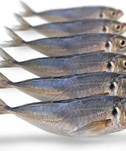 Gloednieuw ???? Prebaits Horsmakreel - Dood Aas - Wit ✔️ -Hendi Shop 550x468 3