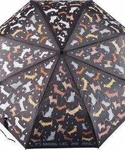 Beste deal ✨ Floss & Rock Regenboog Honden En Katten - Verandert Van Kleur! ????