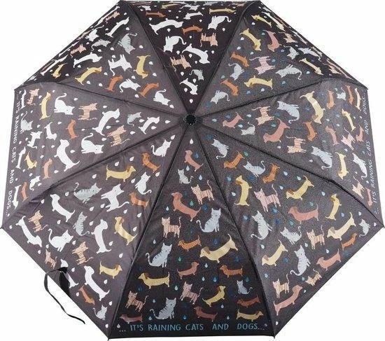 Beste deal ✨ Floss & Rock Regenboog Honden En Katten - Verandert Van Kleur! ???? 3 Beste deal ✨ Floss & Rock Regenboog Honden En Katten - Verandert Van Kleur! ????