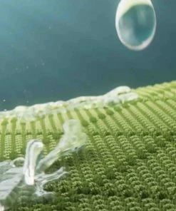 Top 10 ✔️ Arc'teryx Alpha Ar Jacket Men's 25434 M ???? -Hendi Shop 550x515 1