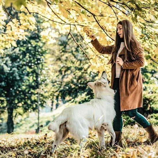 Goedkoop ???? Grisport Sutherland Outdoorlaarzen Unisex - Chestnut - Maat 42 ???? 4 Goedkoop ???? Grisport Sutherland Outdoorlaarzen Unisex - Chestnut - Maat 42 ???? - Afbeelding 2