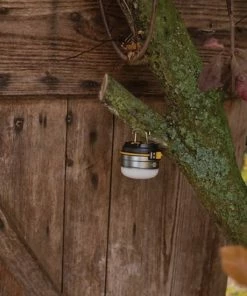 Kopen ⌛ Brennenstuhl Oli 0200 Led-outdoorlamp. Geïntegreerde Li-Pol-accu. Zilver ???? 45 Kopen ⌛ Brennenstuhl Oli 0200 Led-outdoorlamp. Geïntegreerde Li-Pol-accu. Zilver ???? -Hendi Shop 550x550 740