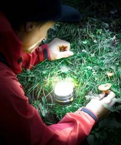 Kopen ⌛ Brennenstuhl Oli 0200 Led-outdoorlamp. Geïntegreerde Li-Pol-accu. Zilver ???? 47 Kopen ⌛ Brennenstuhl Oli 0200 Led-outdoorlamp. Geïntegreerde Li-Pol-accu. Zilver ???? -Hendi Shop 550x550 741