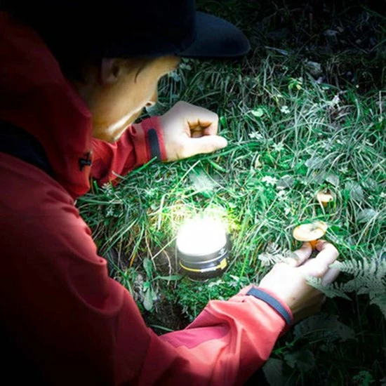 Kopen ⌛ Brennenstuhl Oli 0200 Led-outdoorlamp. Geïntegreerde Li-Pol-accu. Zilver ???? 19 Kopen ⌛ Brennenstuhl Oli 0200 Led-outdoorlamp. Geïntegreerde Li-Pol-accu. Zilver ???? - Afbeelding 17