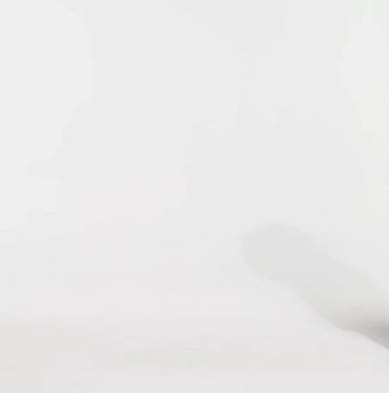 Gloednieuw ⭐ Didriksons HELLE WNS PARKA 5 Dames Outdoor Parka - Maat 42 ???? 4 Gloednieuw ⭐ Didriksons HELLE WNS PARKA 5 Dames Outdoor Parka - Maat 42 ???? - Afbeelding 2