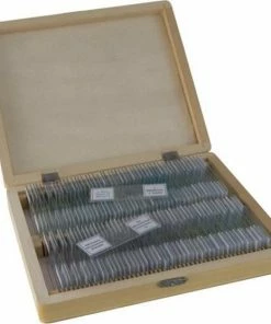 Promo ✨ Bresser Preparaten- Voorgeprepareerd - Geschikt Voor Doorzichtmicroscopen - 100 Stuks - Microbiologie & Celbiologie ❤️ -Hendi Shop 550x557 1