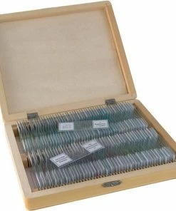 Promo ✨ Bresser Preparaten- Voorgeprepareerd - Geschikt Voor Doorzichtmicroscopen - 100 Stuks - Microbiologie & Celbiologie ❤️ -Hendi Shop 550x558 2