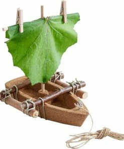 Begroting ❤️ HABA Terra Kids Bouwpakket Kurken Boot ???? 7 Begroting ❤️ HABA Terra Kids Bouwpakket Kurken Boot ???? -Hendi Shop 550x624 2