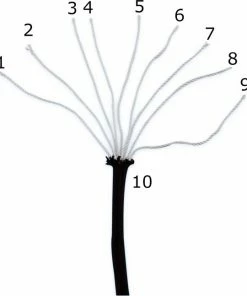 Hete verkoop ✨ Brute Strength Paracord - Touw - 4 Mm - 40 Meter - Zwart - 250 Kg Breekracht ???? 7 Hete verkoop ✨ Brute Strength Paracord - Touw - 4 Mm - 40 Meter - Zwart - 250 Kg Breekracht ???? -Hendi Shop 550x647 2