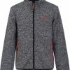 Korting ???? Icepeak Kirwin Jr Midlayer - Lead-grey - Outdoor Kleding - Fleeces En Truien - Fleece ???? -Hendi Shop 550x654 5